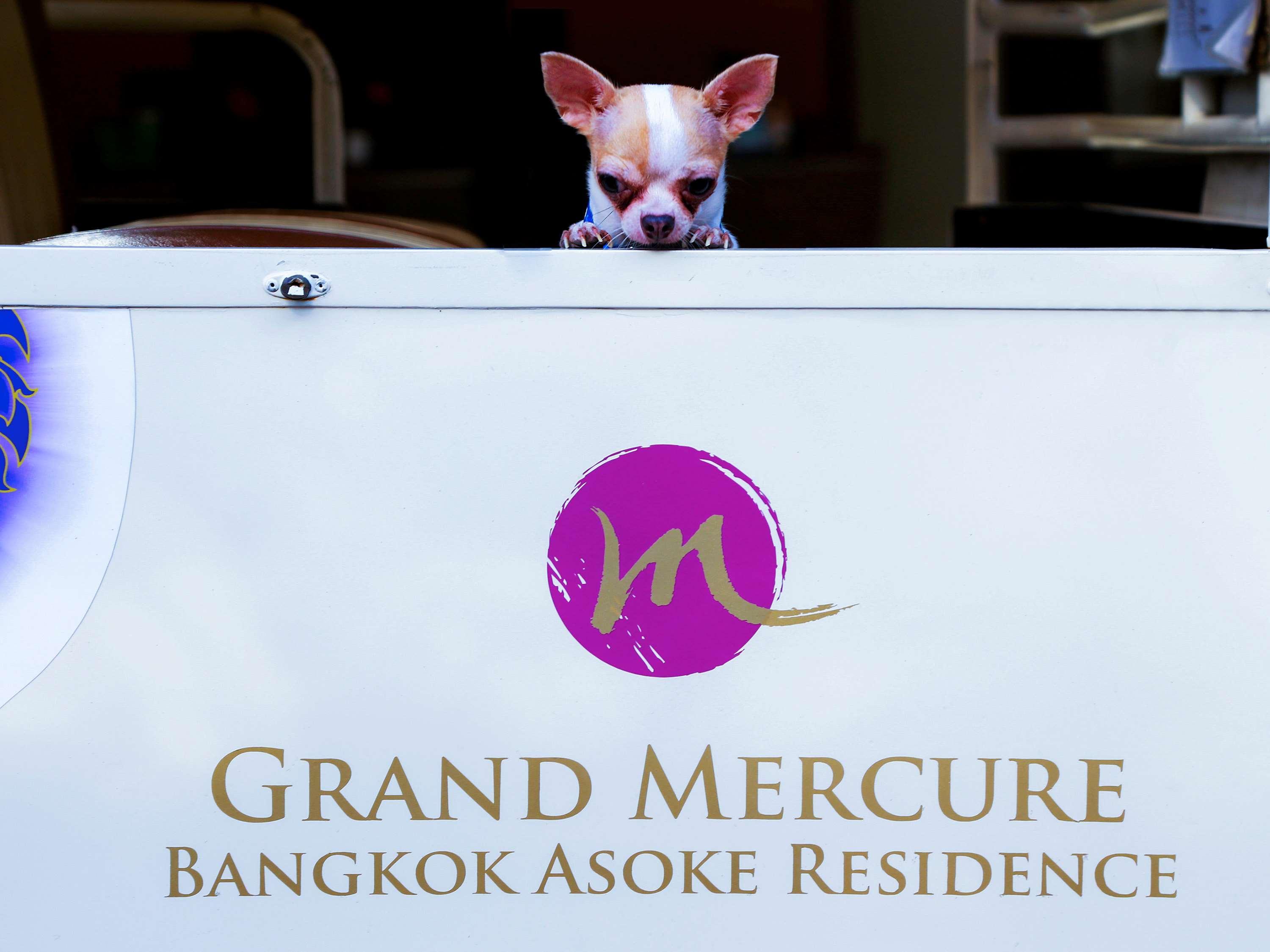 Grand Mercure Bangkok Asoke Residence Eksteriør bilde